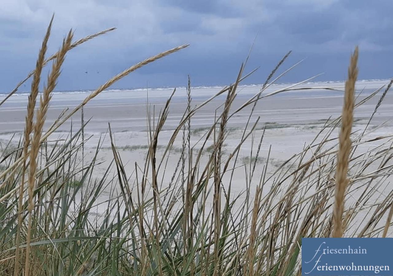 Friesenhain Ferienwohnungen Sankt Peter-Ording Luaran gambar